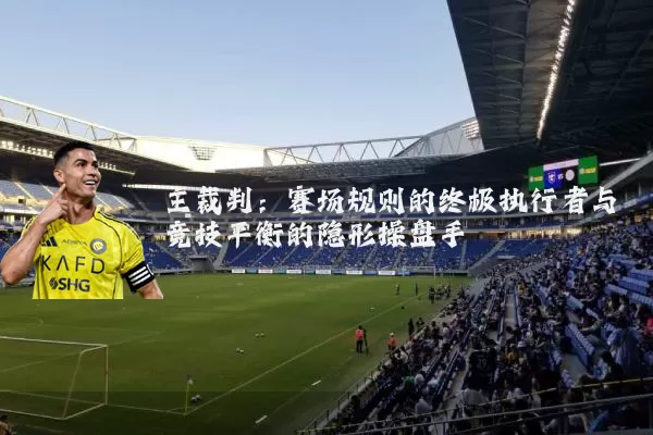 主裁判：赛场规则的终极执行者与竞技平衡的隐形操盘手